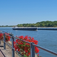 Rhine Promenade