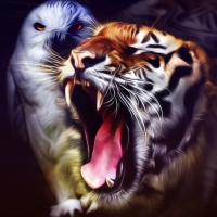 tiger-eule-hintergrundbild.jpg