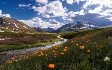 Mountain Stream - landscape, clouds, stream, mountains, meadow