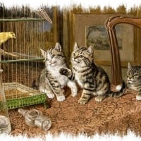 cats-away-artwork-master-pet-kittens-paton-table-birdcage-canary-frank-animal-old-cat-painting-art-feline-wallpaper-space-10.jpg