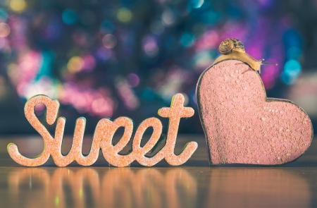 :) - bokeh, heart, word, valentine, card, pink, sweet, snail