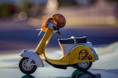 :) - motorcycle, yellow, funny, macro, cute, snail, rush