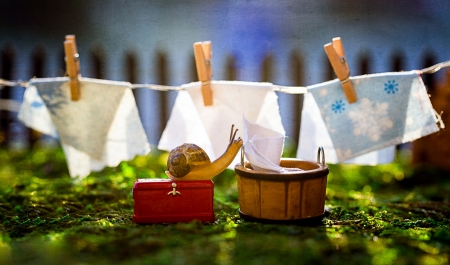 :) - laundry day, summer, creative, snail, funny, green, macro, cute, bucket, vara