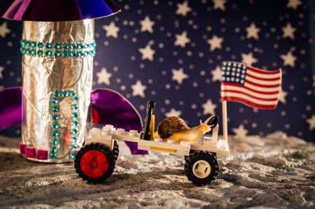 :) - moon, creative, snail, fantasy, car, funny, macro, luna, flag