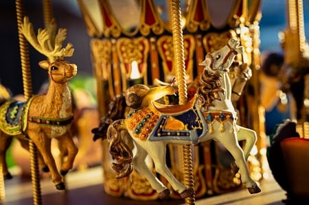 :) - carousel, snail, macro, horse, funny, cute