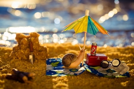 :) - beach, vara, water, summer, funny, snail, umbrella, sand, sea