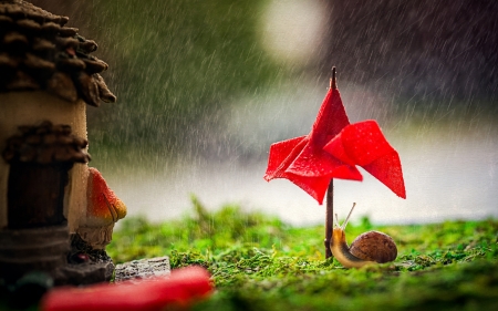 :) - vara, rain, summer, funny, snail, macro, umbrella, red, green, cute