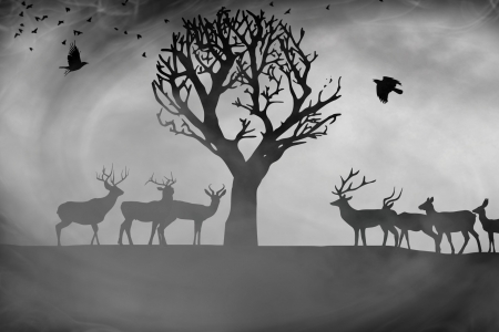 :) - vector, autumn, silhouette, fantasy, deer, caprioara, bird, mist, animal, tree