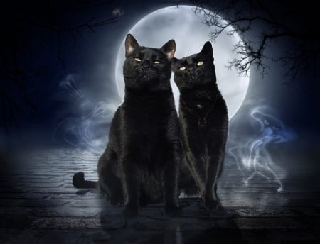 Happy Halloween! - moon, fantasy, black cat, pisici, halloween, couple, luna