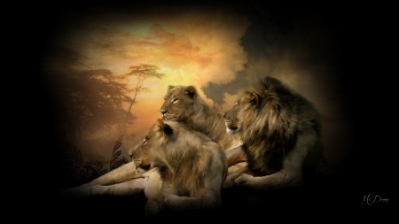 African Lions - family, firefox theme, big cats, africa, wild, pride, lions