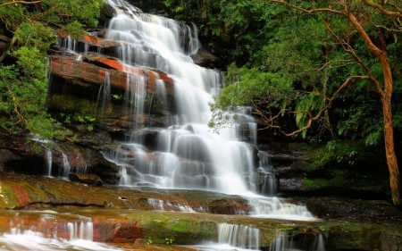 Waterfall - water, waterfall, tree, amazing