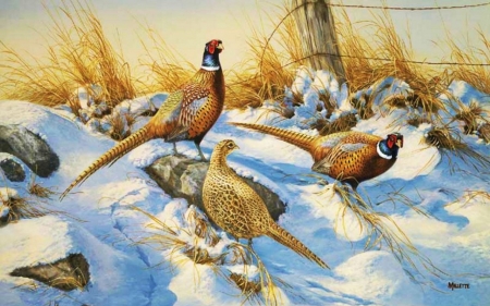 :-) - nature, painted, pheasants, snow