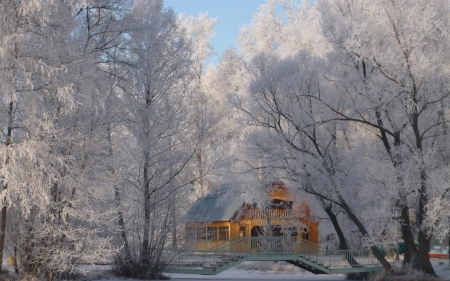 winter - white, winter, nature, snow