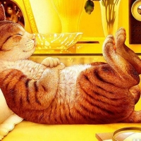 cats-bed-art-makoto-yellow-resting-digital-kitten-sleep-sweet-cat-pillow-feline-animal-images-himalayan