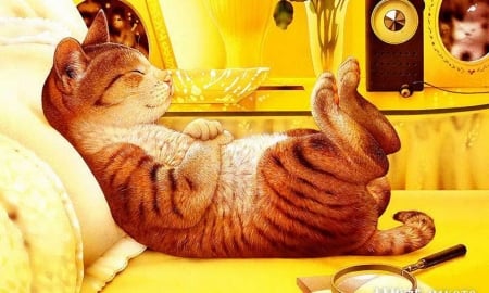 cats-bed-art-makoto-yellow-resting-digital-kitten-sleep-sweet-cat-pillow-feline-animal-images-himalayan - sleep, bed, deutschland, cats