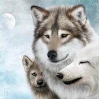 Wolfsfamilie-Mond-Schnee-Winter-1920x1200-Hintergrundbilder-de.best-wallpaper.net.jpg