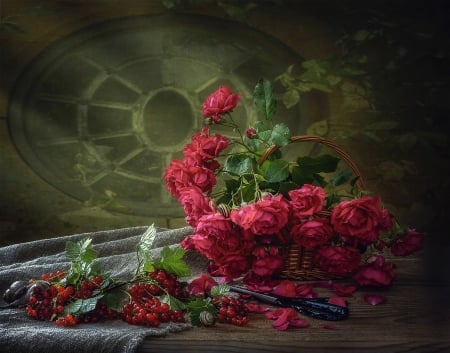 Still life with garden roses - bouquet, red, still life, roses