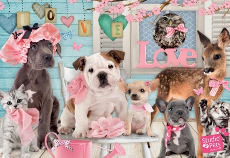 Studio Pets True Love - pets, puzzle, studio, dog, love