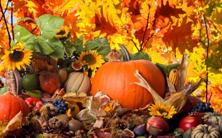 Thanksgiving for God - thanksgiving, god, pumpkins, flowers, orange, nuts