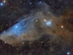 The Blue Horsehead Reflection Nebula