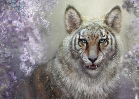 Wisekind wolftiger - bobbie jean pentecos, winter, wolf, tiger, creature, fantasy, white, iarna, luminos