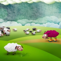 Crazy sheep