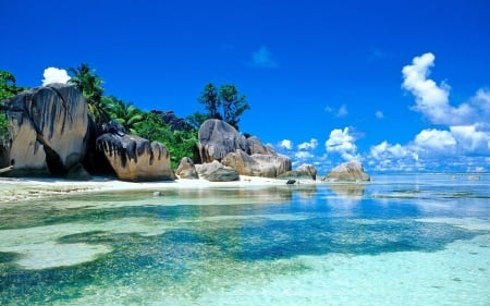 secluded beach - rock, beach, tree, sand