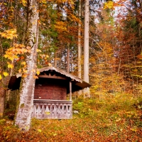 Autumn in Germany