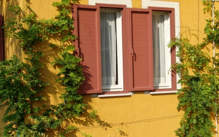 Windows in Italy - windows, italy, palnts, shutters, house