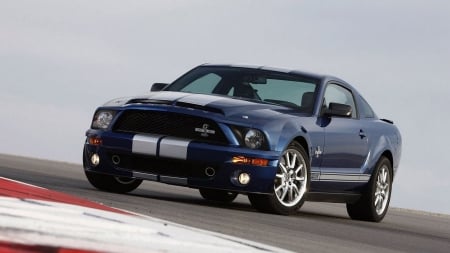 2008 Ford Shelby Mustang GT500KR - vehicle, ford shelby mustang gt500kr, shelby mustang, car, blue cars, ford, front view