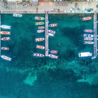 Guadeloupe Island