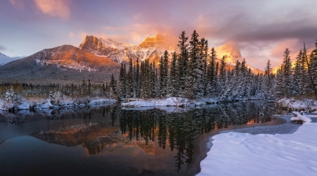 Mountain Lake - Mountain, Trees, Forest, Lake