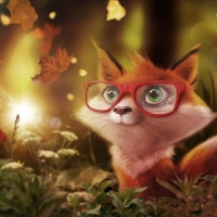 Autumn fox