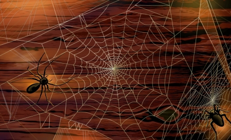 Spider web - halloween, wood, brown, spider, fantasy, web