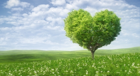 :) - spring, creative, card, fantasy, valentine, heart, tree, luminos, green