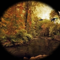 Autumn River Collage