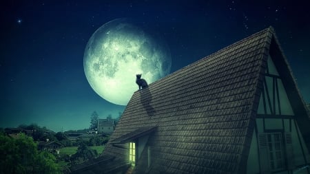 Full moon - moon, night, cat, fantasy, roof, kitten, pisici, luminos, luna, fantasyart0102