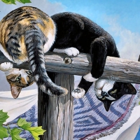 cats-caper-pet-animal-feline-art-clothesline-artwork-cat-painting-touble-cute-wallpapers-android