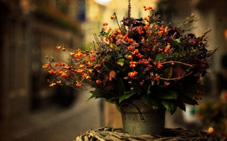 :-) - hd, autumn, flowers, vase