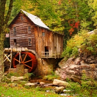 Forest mill