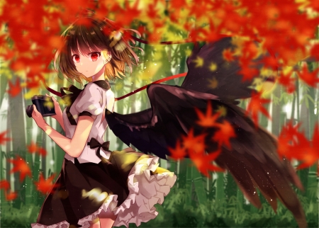 Angel - shameimaru aya, isaragi yuri, anime, camera, girl, black, manga, autumn, red, wings, leaf