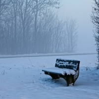 winter Evening