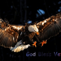 God Bless Veterans . .