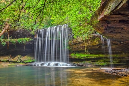 Waterfall From the Forest - nature, forest, waterfall, rocks