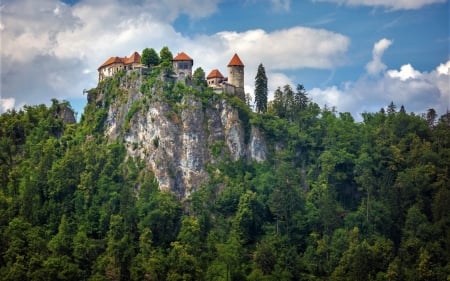 Bled Castle, Slovenia - rock, castle, slovenia, trees