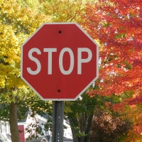 Autumn Stop Sign