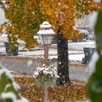 First Snowfall (of Autumn...!) 2018