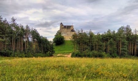 Bobolice Castle - poland, slaskie, bobolice, castle