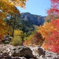 Guadalupe Mountains National Park in Fall