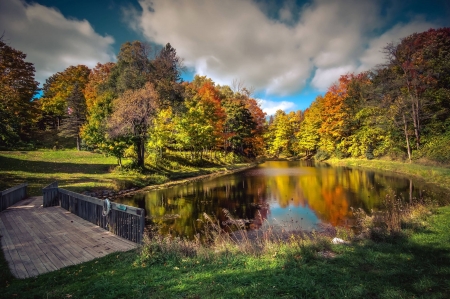 forest river - fun, river, nature, forest, cool